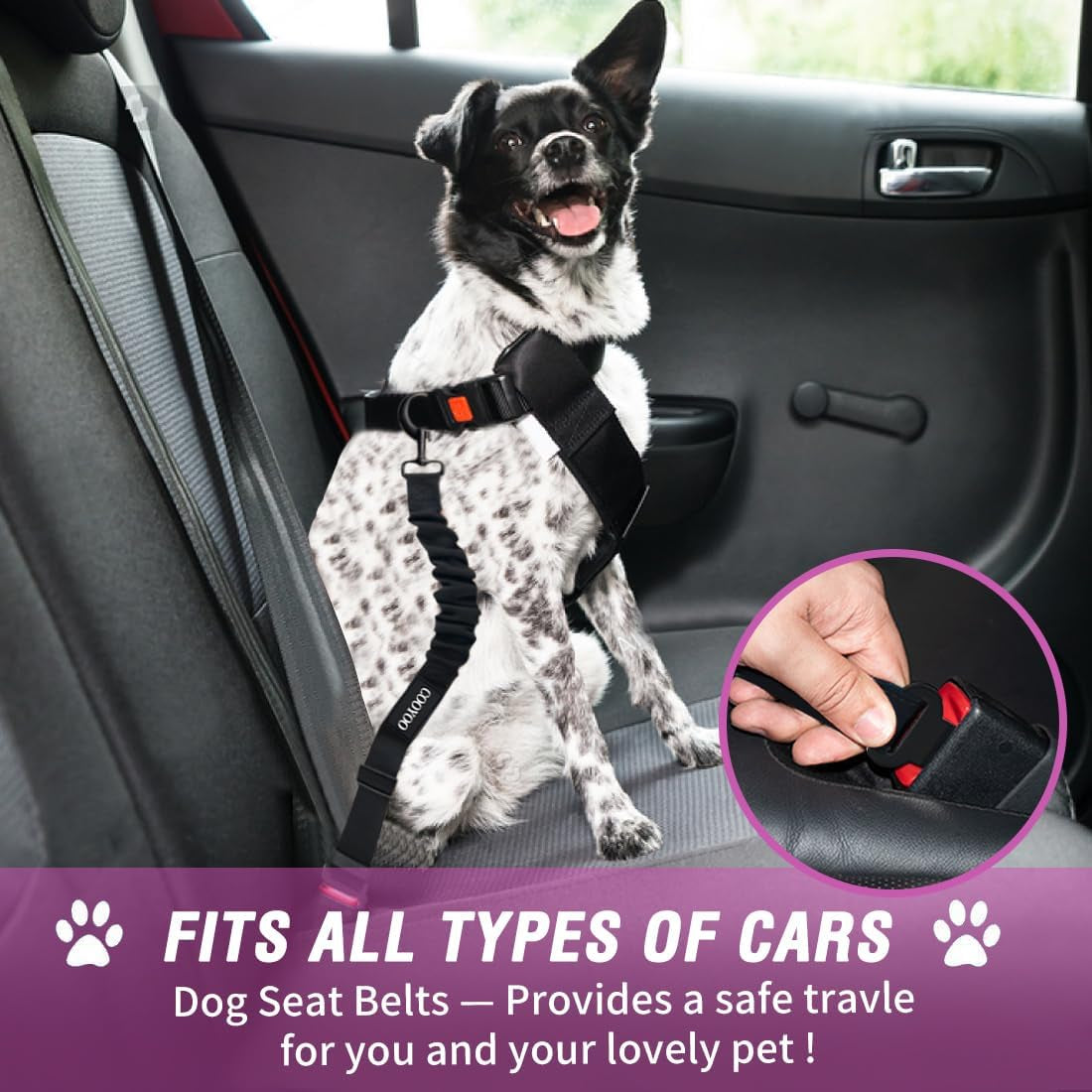 3-in-1 Dog Car Safety Travel Kit – Retractable Seat Belt & Foldable Water Bowl | UK Law Compliant