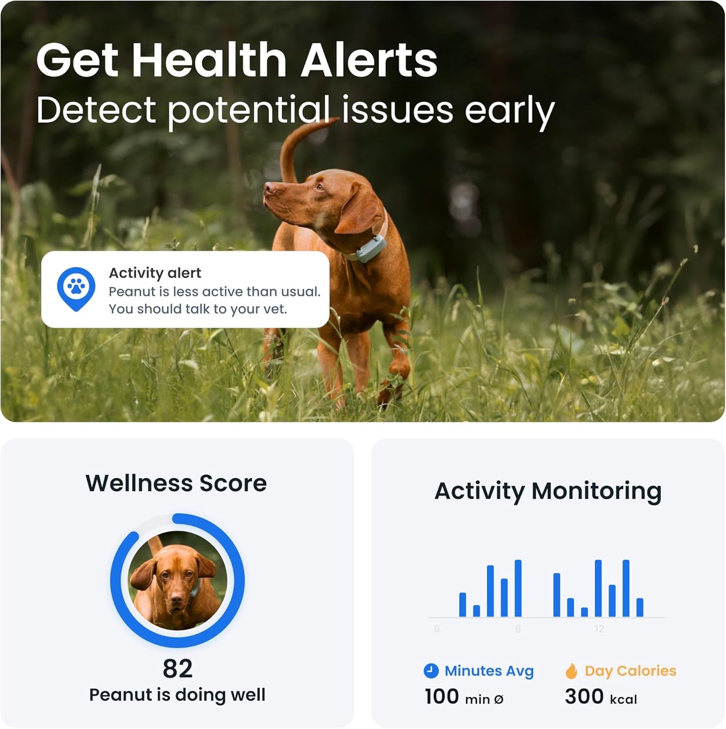 Smart GPS Dog Tracker – Real-Time Location, Escape Alerts & Activity Monitoring