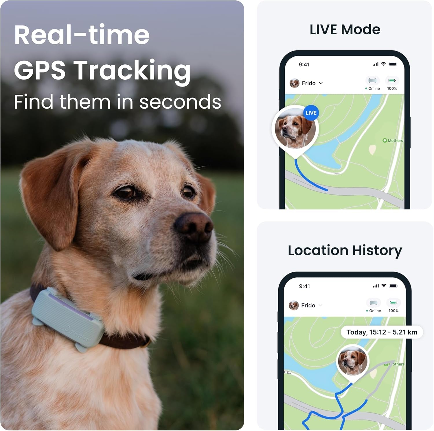 Smart GPS Dog Tracker – Real-Time Location, Escape Alerts & Activity Monitoring
